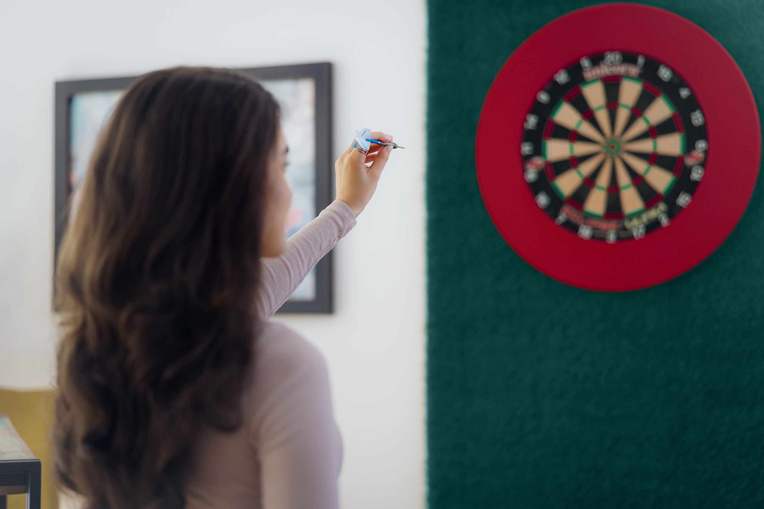 sinn darts