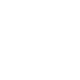 sinn icons 10