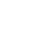 sinn icons 3