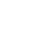 sinn icons 5