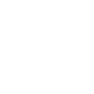 sinn icons 8