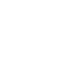 sinn icons 9