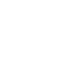 sinn icons